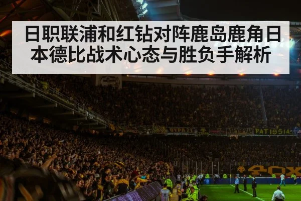 soccer stadium crowd night
